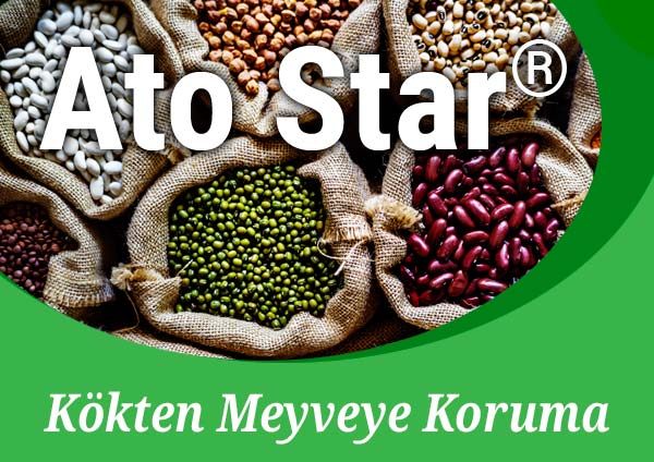 Koruyucular & Katkılar Ato Star