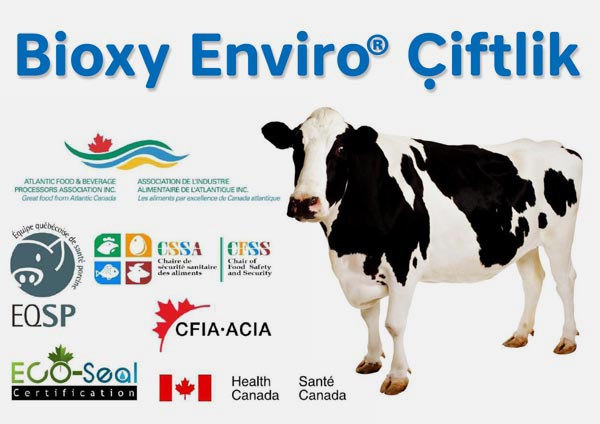 Ruminant Sektörü Bioxy Enviro Çiftlik