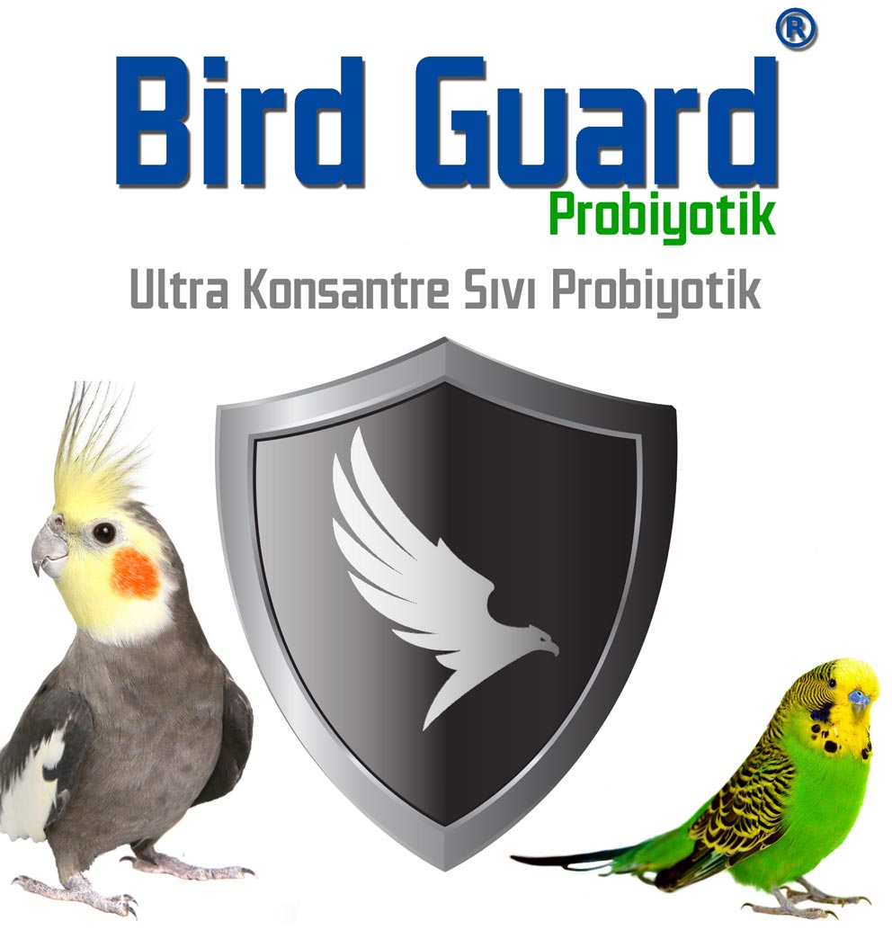 Pet Sektörü Bird Guard Probiyotik