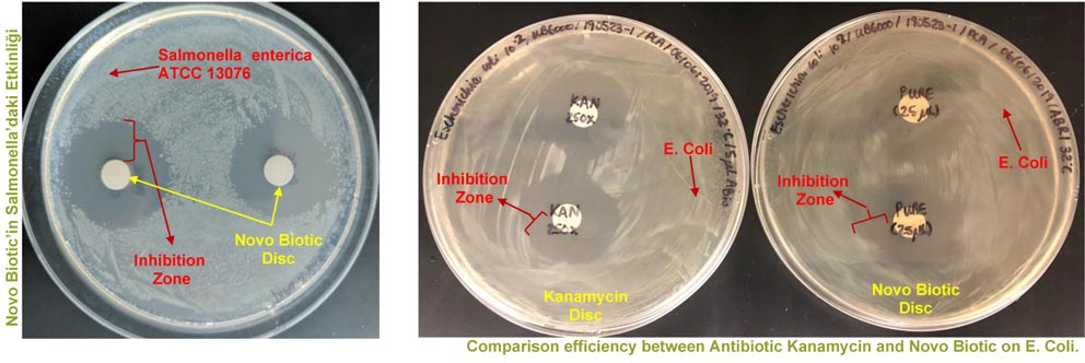 Novo Biotic'in Salmonella üzerindeki etkisi