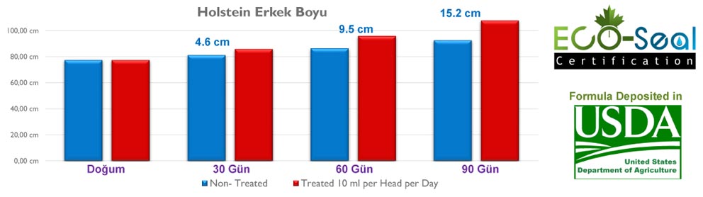 Novo Biotic Buzağı Holstein Erkek Boyu