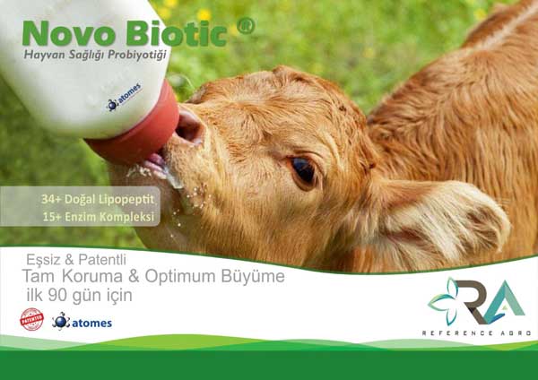 Ruminant Sektörü Novo Biotic Buzağı