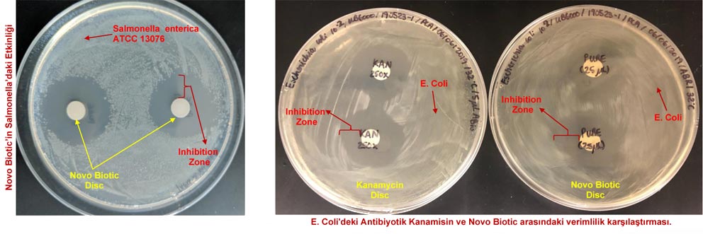 Novo Biotic Layer'in Salmonella üzerindeki etkisi