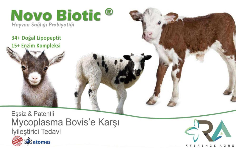 Novo Biotic Mycoplasma Hayvan Sağlığı Probiyotiği